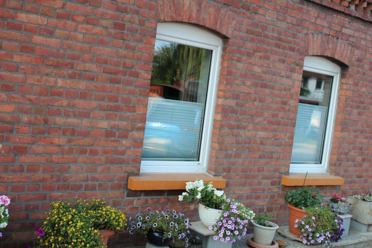 Apartment Hanske Isenbüttel Extérieur photo